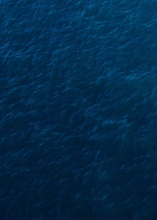 mare.jpg